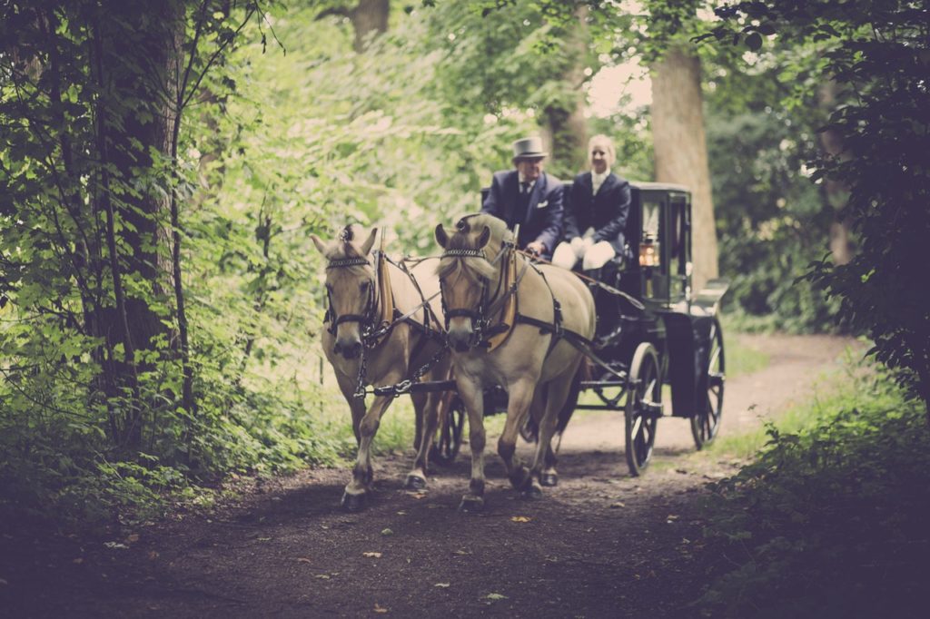 Horse & Carriage