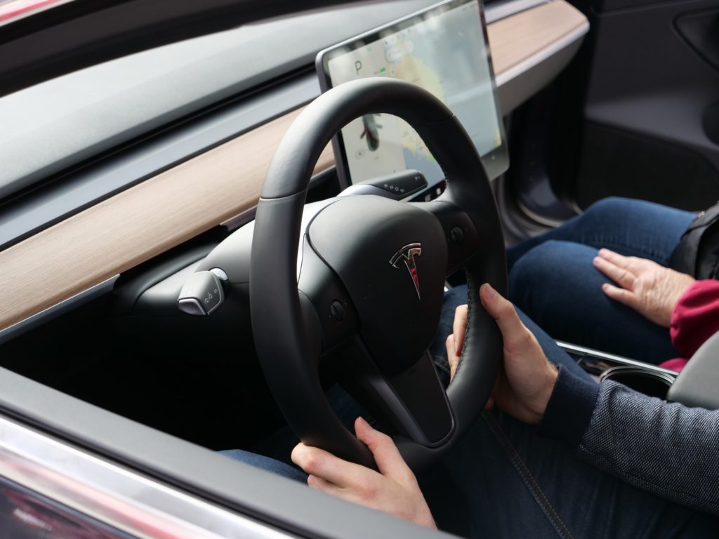 The Case For A Tesla AutoPilot Game 2 mini P1001230