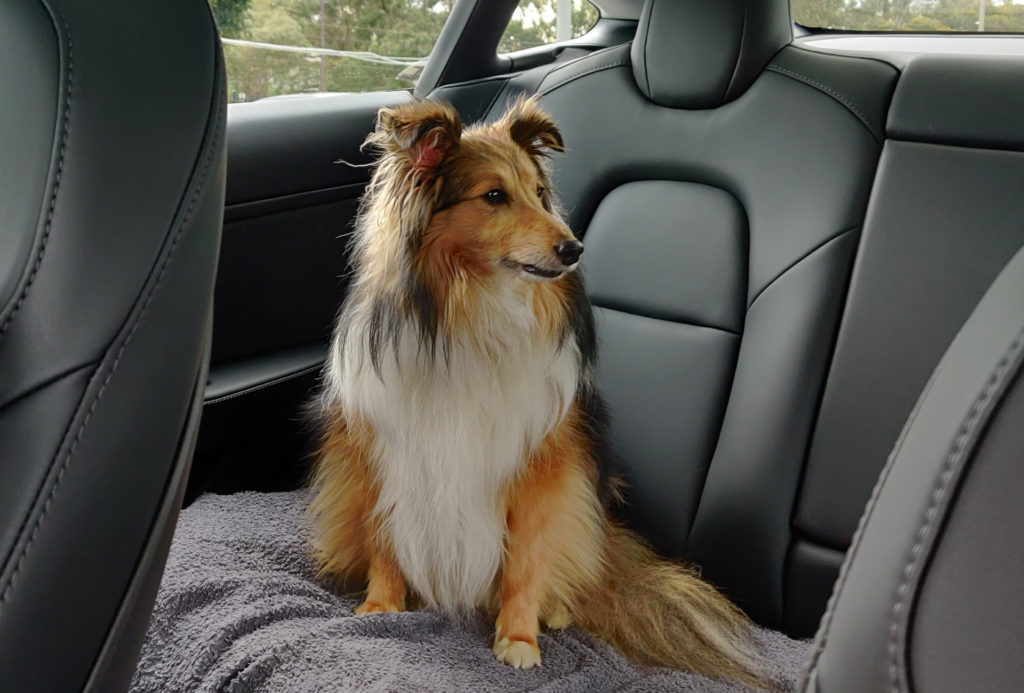 Batmobile Rear Seat Fluffy